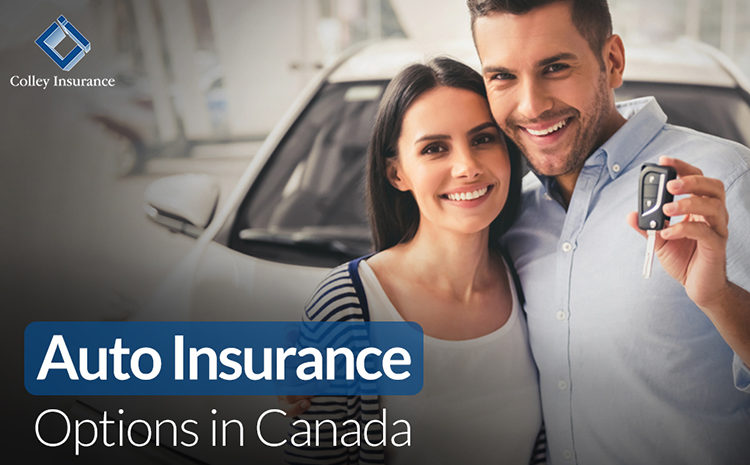  Auto Insurance Options in Canada