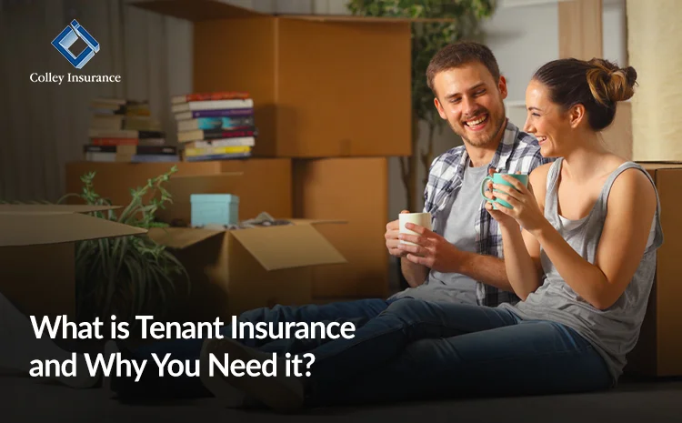  What Is Tenant Insurance and Why Do You Need It